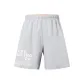 Light Smoke Gray