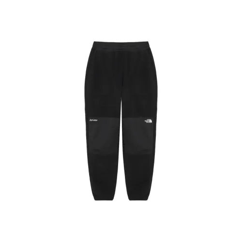 THE NORTH FACE SS24 Casual Pants Men's Black