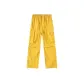 Ginger Yellow