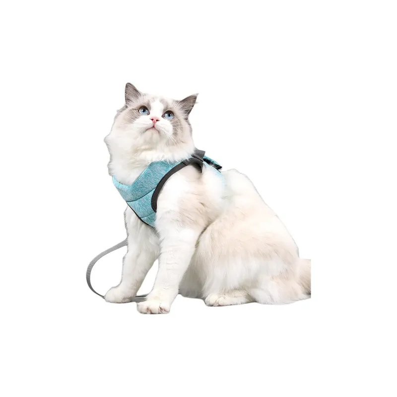 A good thing Leashes-3