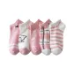 Pink Kitten 5 Pack
