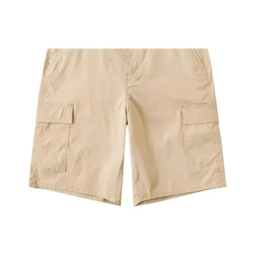 Lee Cargo grey striped Men Khaki