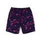 Purple PPX