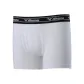 White 01