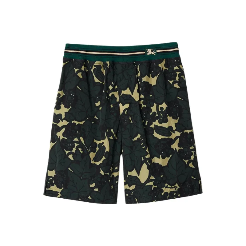 Burberry Casual Shorts Men's Multicolor-0