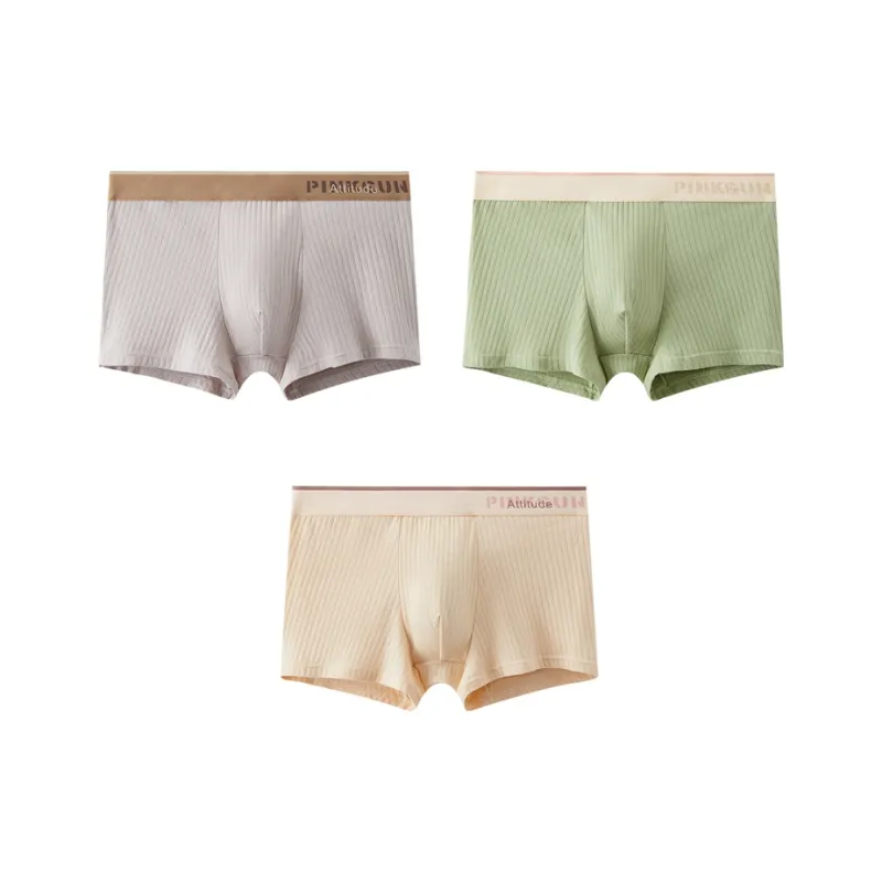 ROBINHOOD Underpants Men's 3 Pack-35