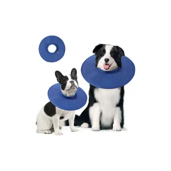 A good thing Dog / Cat Collars