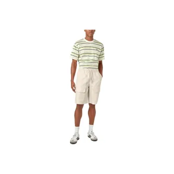 Dickies Cargo Shorts Men's Stone White Hat Gray
