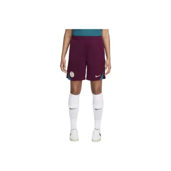 Nike Casual Shorts Unisex Bordeaux/Crystal Azurite/Ice Pomegranate