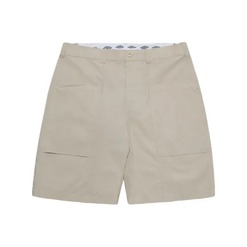 Dickies Casual Shorts Men's Tea Brown