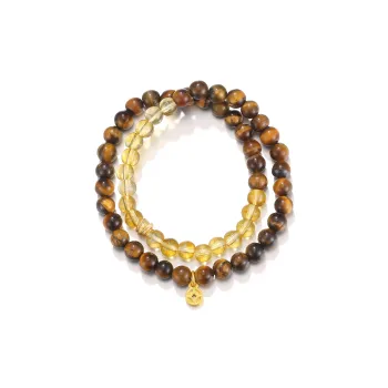 Clect Tiger's Eye Stone Bracelets Women's
