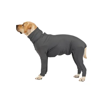 A good thing Pet Clothing