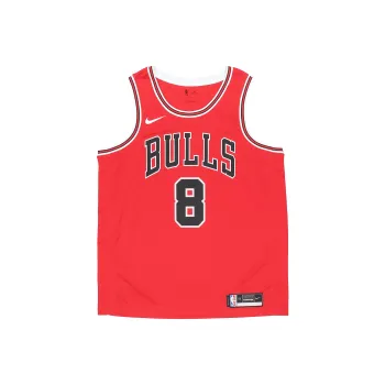 Nike Nba Chicago Bulls Zach Lavine Icon Edition Swingman Jersey