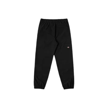 Dickies SS24 Casual Pants Men's