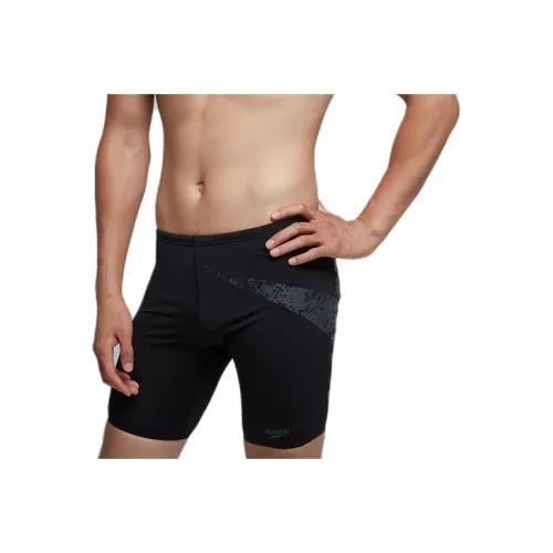 Speedo Swimming Shorts Men Gray