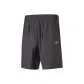 Iron Gray