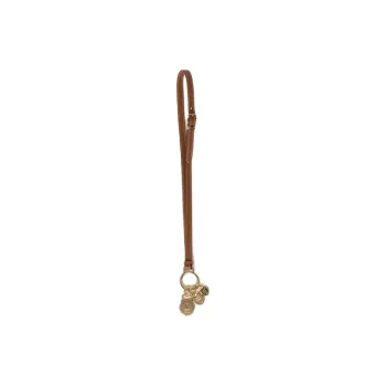 MIU MIU Cow Leather Bag Accessory Women's Cognac