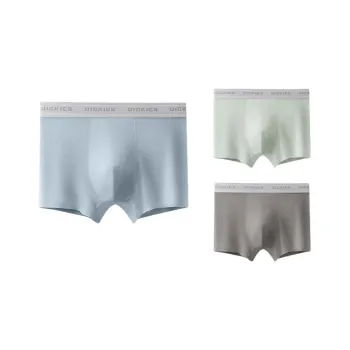 Dickies Underpants Men's 3 Pack