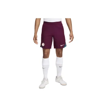 Nike Dri FIT Casual Shorts Men's Burgundy