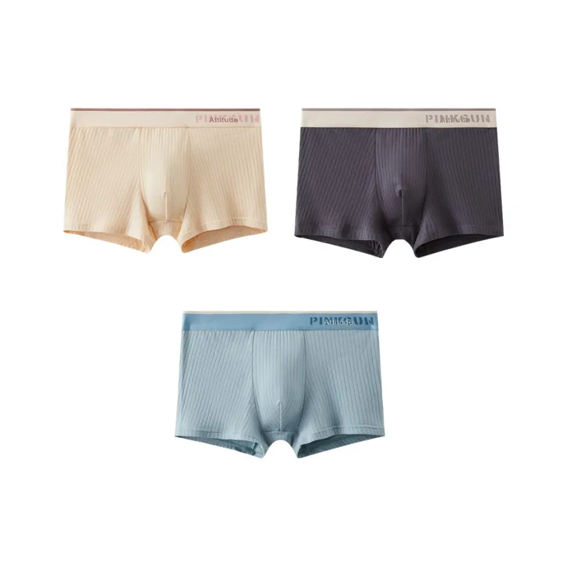 ROBINHOOD Underpants Men's 3 Pack-25