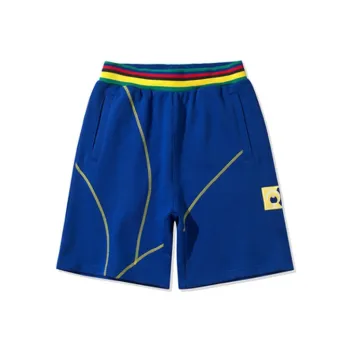 LiNing Sports Fashion Collection Sports Shorts Men Dark Blue