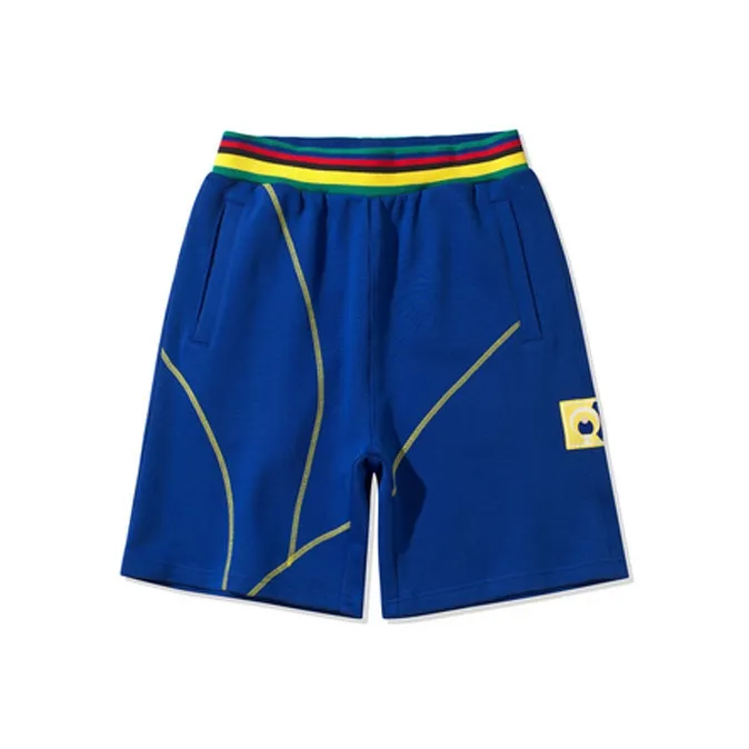 LiNing Sports Fashion Collection Sports Shorts Men Dark Blue-0