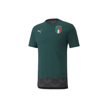 PUMA 1920 Season Italian Renaissance Soccer Jerseys Men Green