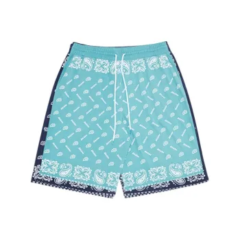 Dickies Casual Shorts Men Sky Blue