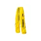 Mango Yellow