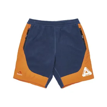 PALACE Polartec Shell Shorts