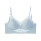 1 Pack (Blue)