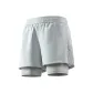 Silver Gray