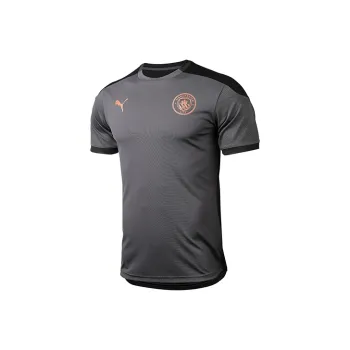 PUMA MCFC Soccer Jerseys Men Gray
