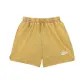 Earth Yellow