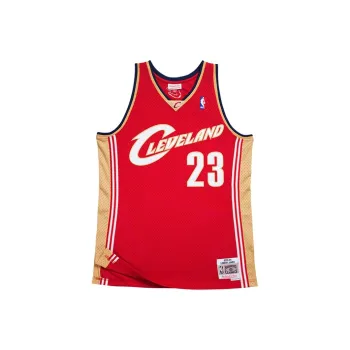 Mitchell Ness Nba Kids Cleveland Cavaliers James LeBron 2003 04 Swingman Road Jersey