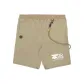 Brown BGX