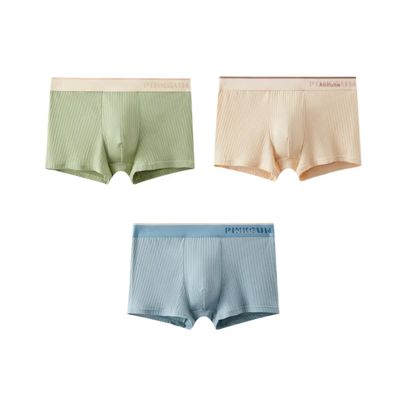 ROBINHOOD Underpants Men's 3 Pack-5