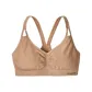 Light Umber/Rosewater