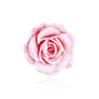 Shiban Acrylic Stud Earrings Women's-2