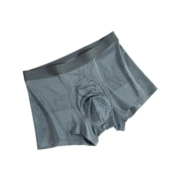 DUINIDESIYU Underpants Men's Combo Set-11