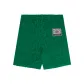 Green GRX