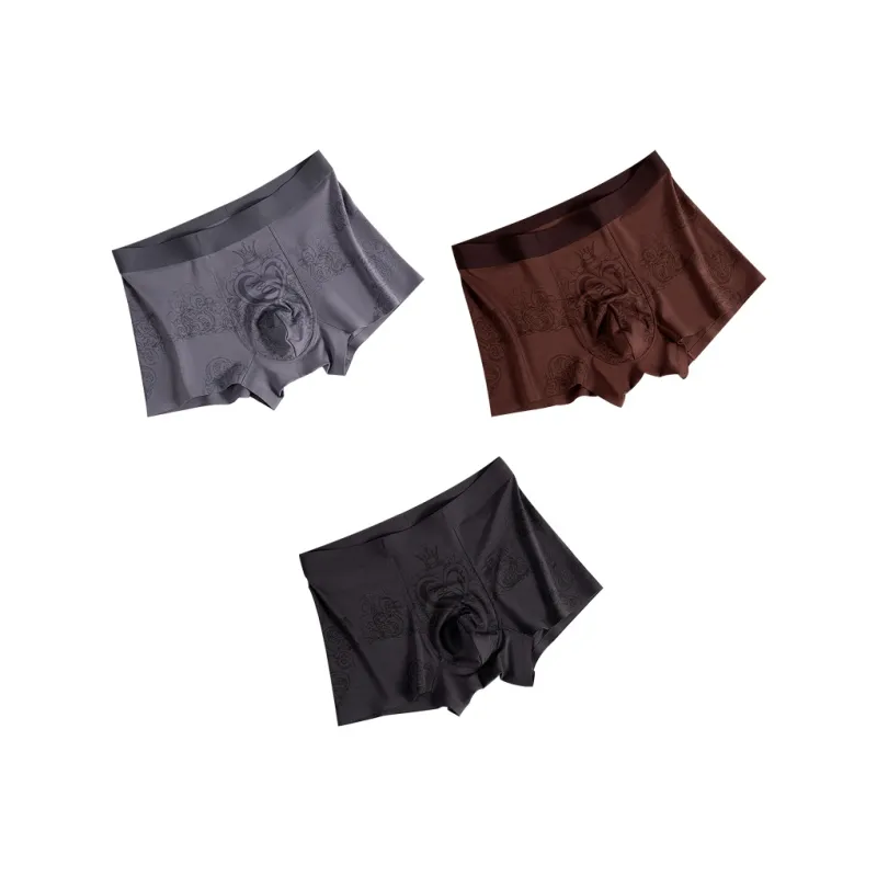 DUINIDESIYU Underpants Men's Combo Set-5