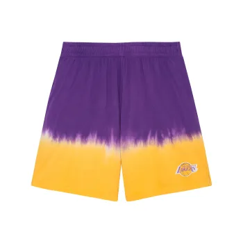 Mitchell & Ness Basketball Shorts Men's Purple Yellow
