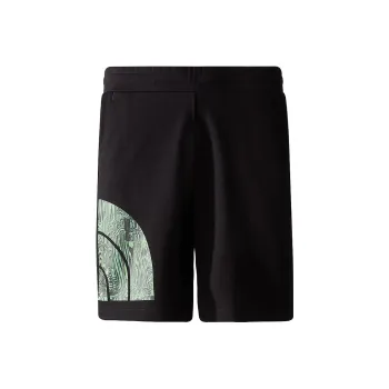THE NORTH FACE BLOW UP Casual Shorts Men's Black