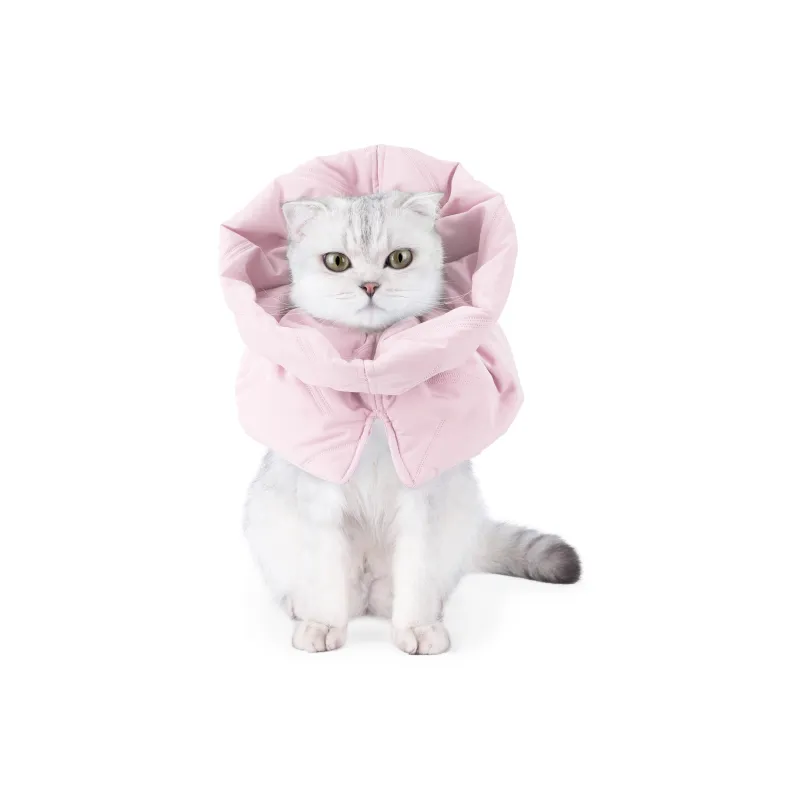 A good thing Dog / Cat Collars-4