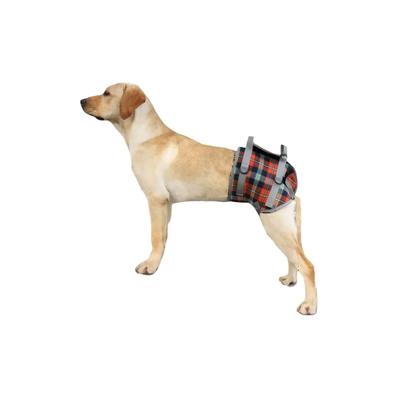 A good thing Leashes-5