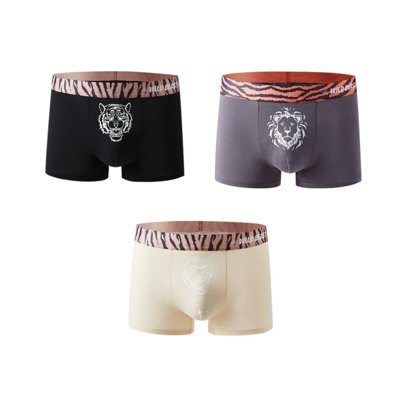 ROBINHOOD Underpants Men's 3 Pack-10