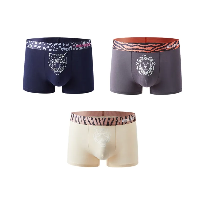 ROBINHOOD Underpants Men's 3 Pack-15
