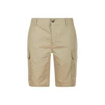 Dickies Casual Shorts Men's Brown