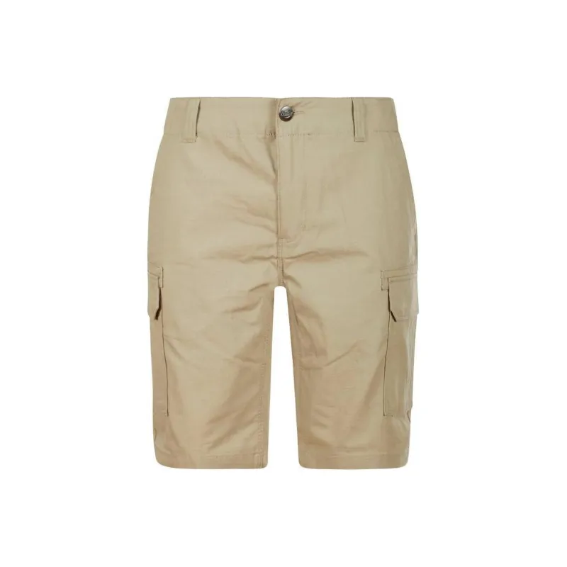 Dickies Casual Shorts Men's Brown-0